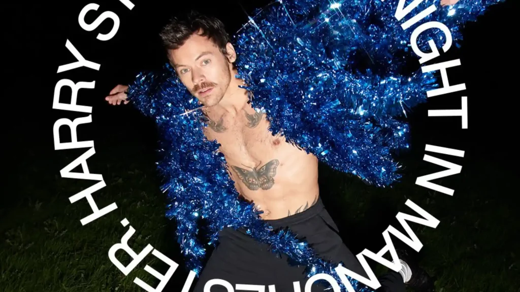 harry styles netflix