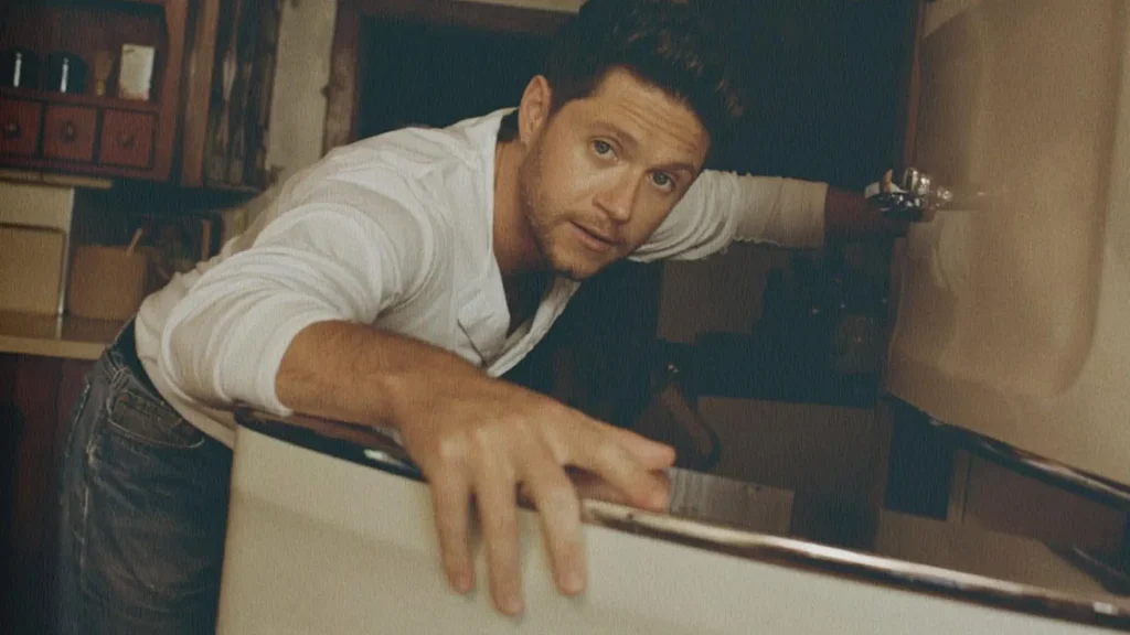 niall horan dinner party